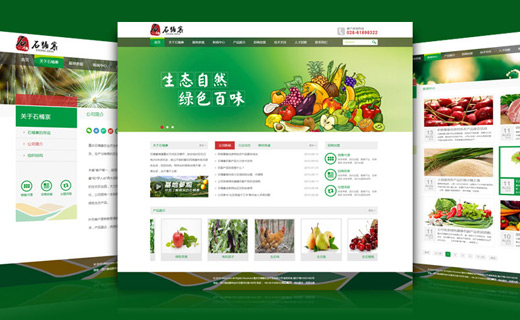 重庆石桶寨农业开发有限公司网站设计与开发